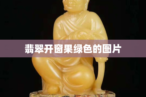翡翠開窗果綠色的圖片