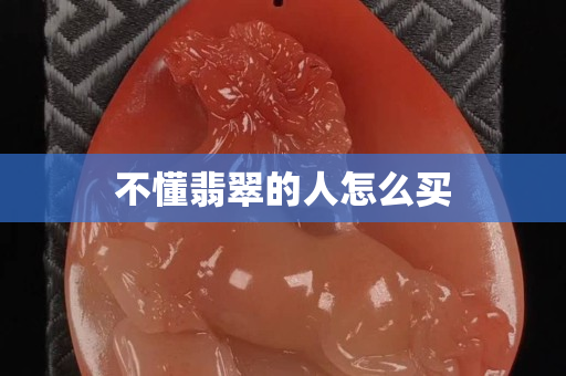 不懂翡翠的人怎么買(mǎi)