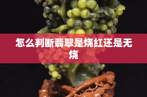 怎么判斷翡翠是燒紅還是無燒