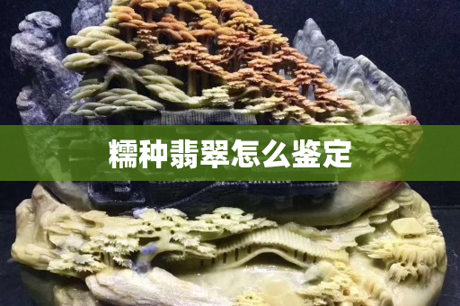 糯種翡翠怎么鑒定