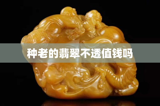 種老的翡翠不透值錢嗎