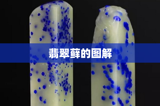 翡翠蘚的圖解