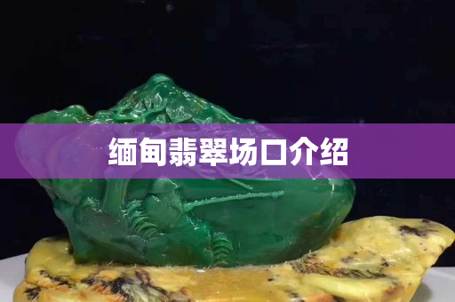 緬甸翡翠場口介紹