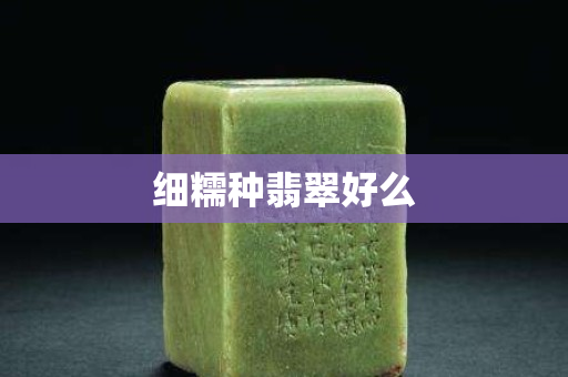 細糯種翡翠好么