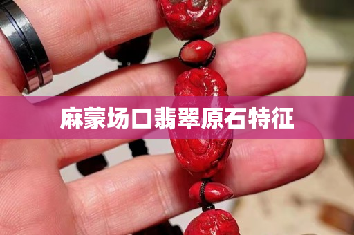 麻蒙場口翡翠原石特征