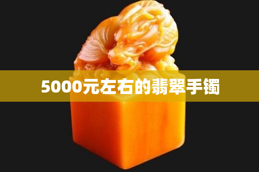 5000元左右的翡翠手鐲