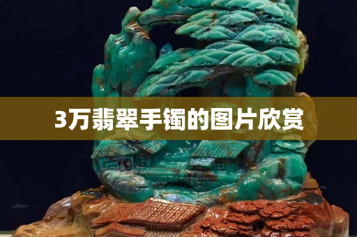 3萬翡翠手鐲的圖片欣賞
