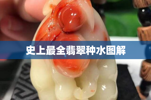 史上最全翡翠種水圖解