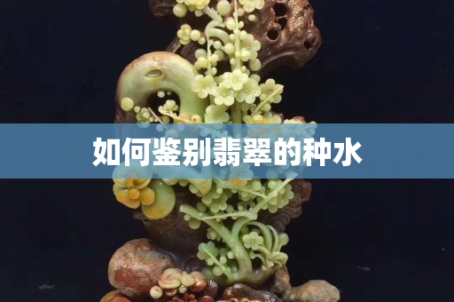 如何鑒別翡翠的種水