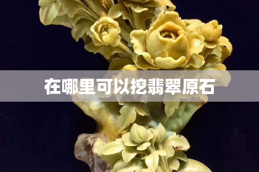 在哪里可以挖翡翠原石
