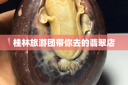 桂林旅游團帶你去的翡翠店