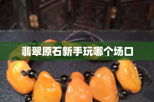 翡翠原石新手玩哪個場口