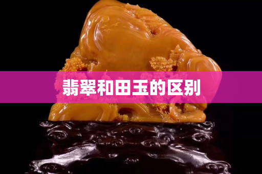 翡翠和田玉的區(qū)別