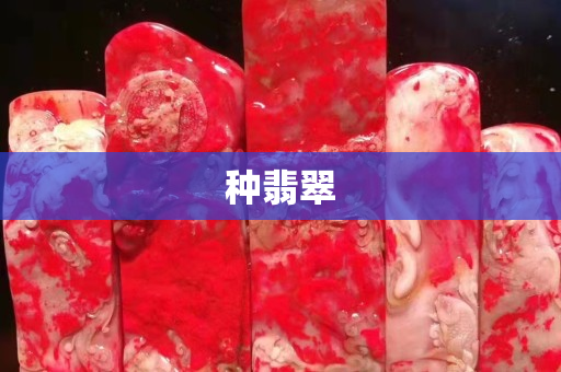 種翡翠