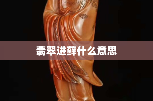 翡翠進蘚什么意思