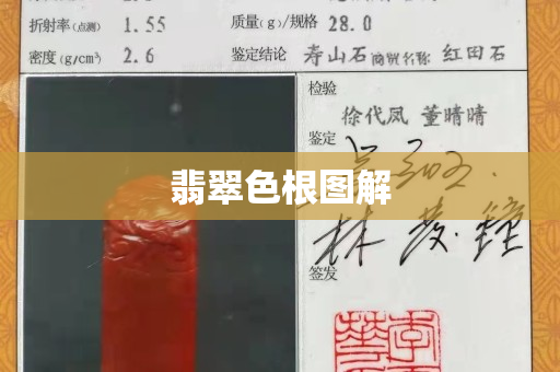 翡翠色根圖解