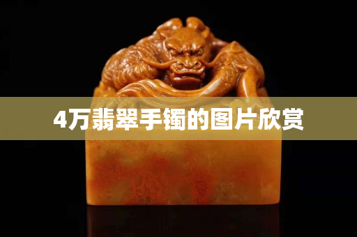 4萬翡翠手鐲的圖片欣賞