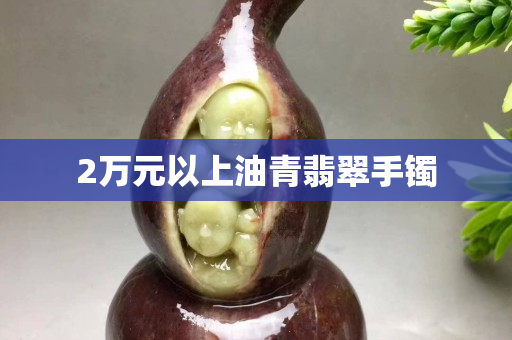 2萬元以上油青翡翠手鐲