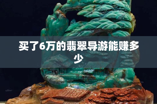 買了6萬的翡翠導游能賺多少