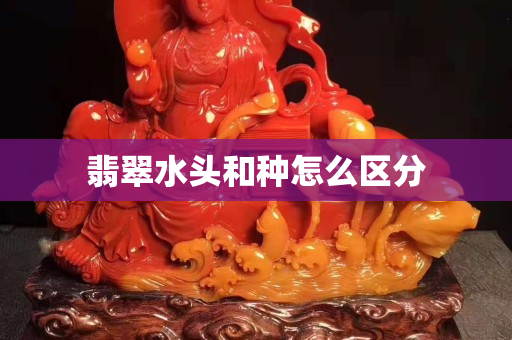翡翠水頭和種怎么區(qū)分