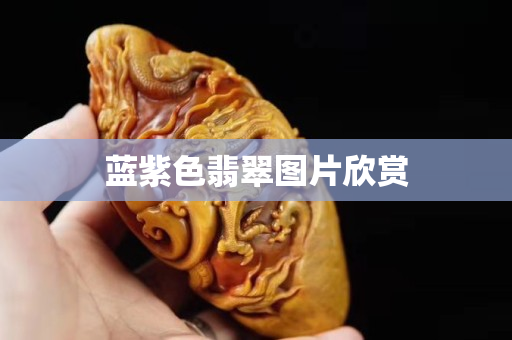 藍(lán)紫色翡翠圖片欣賞