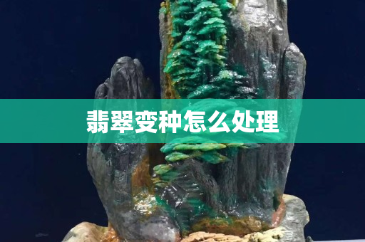 翡翠變種怎么處理