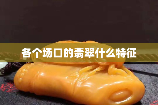 各個場口的翡翠什么特征