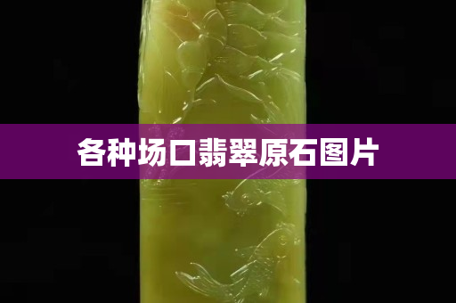 各種場口翡翠原石圖片