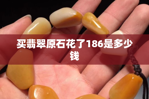 買翡翠原石花了186是多少錢