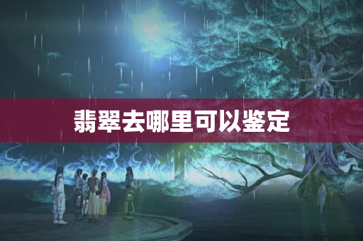 翡翠去哪里可以鑒定