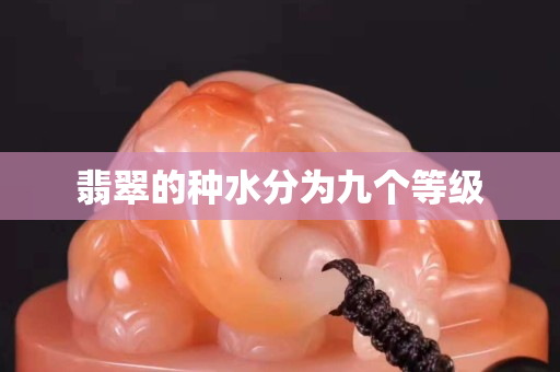 翡翠的種水分為九個等級
