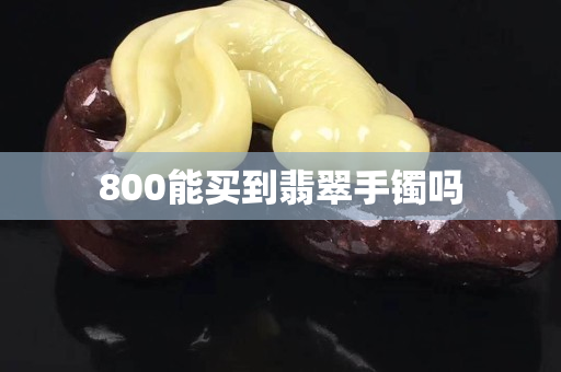 800能買到翡翠手鐲嗎