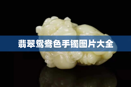 翡翠鴛鴦色手鐲圖片大全