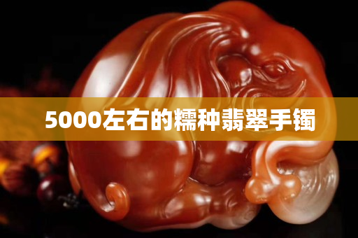 5000左右的糯種翡翠手鐲