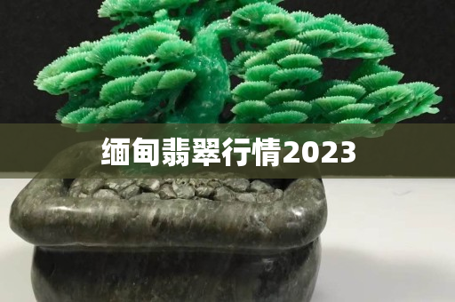 緬甸翡翠行情2023