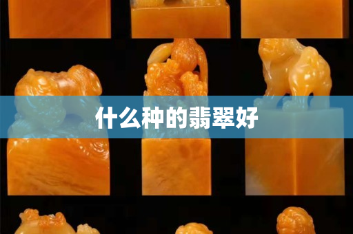 什么種的翡翠好