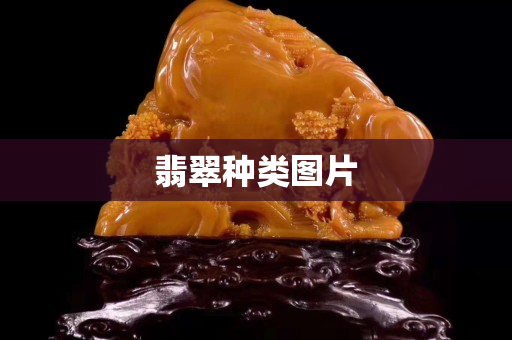 翡翠種類圖片