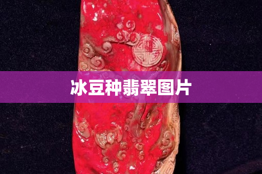 冰豆種翡翠圖片