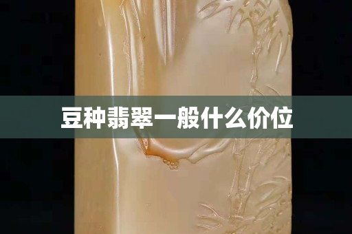豆種翡翠一般什么價位