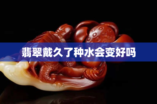 翡翠戴久了種水會(huì)變好嗎