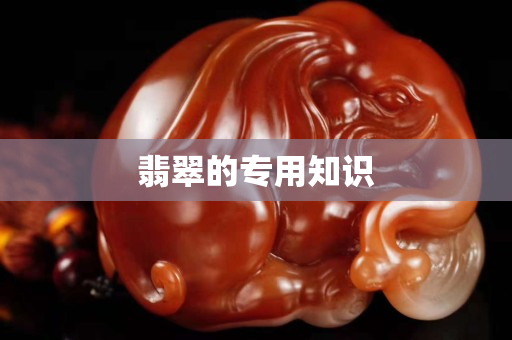 翡翠的專用知識