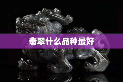 翡翠什么品種最好