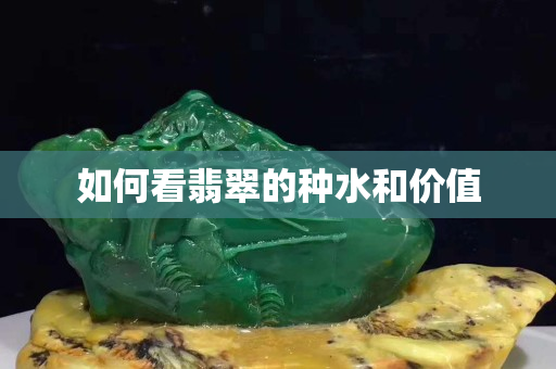 如何看翡翠的種水和價值