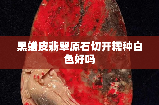 黑蠟皮翡翠原石切開糯種白色好嗎