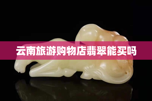 云南旅游購物店翡翠能買嗎