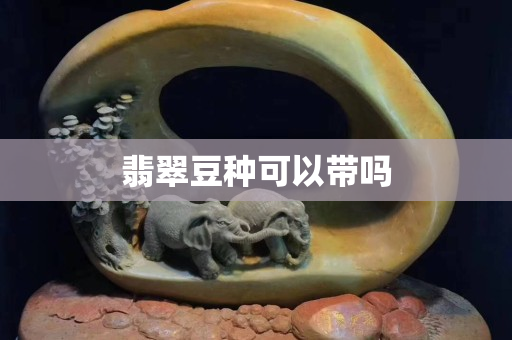 翡翠豆種可以帶嗎