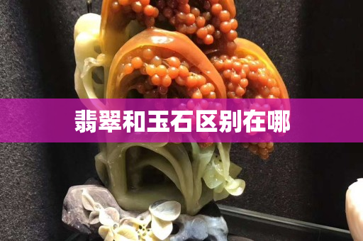 翡翠和玉石區(qū)別在哪