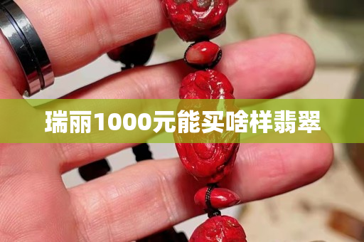 瑞麗1000元能買啥樣翡翠