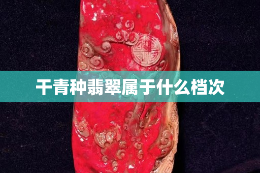 干青種翡翠屬于什么檔次
