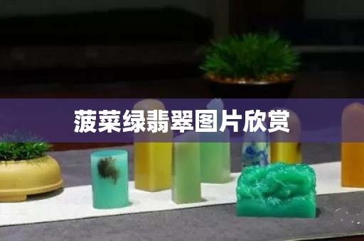 菠菜綠翡翠圖片欣賞